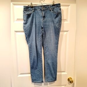 Earl Skinny Jeans Womens Size 16 Blue Mid Rise Mid Rinse